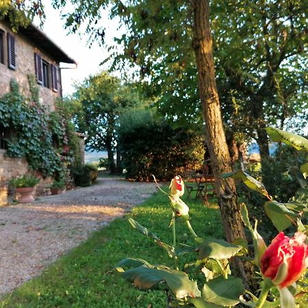 Ferienwohnung Casa Gioia Greve in Chianti Exterior foto